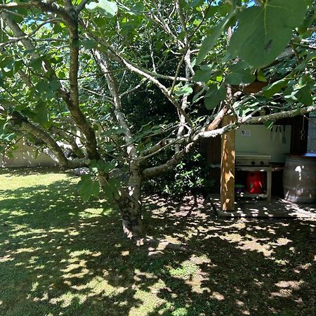 Jolie Maison Le Teich Bassin Park/Wifi Bagian luar foto