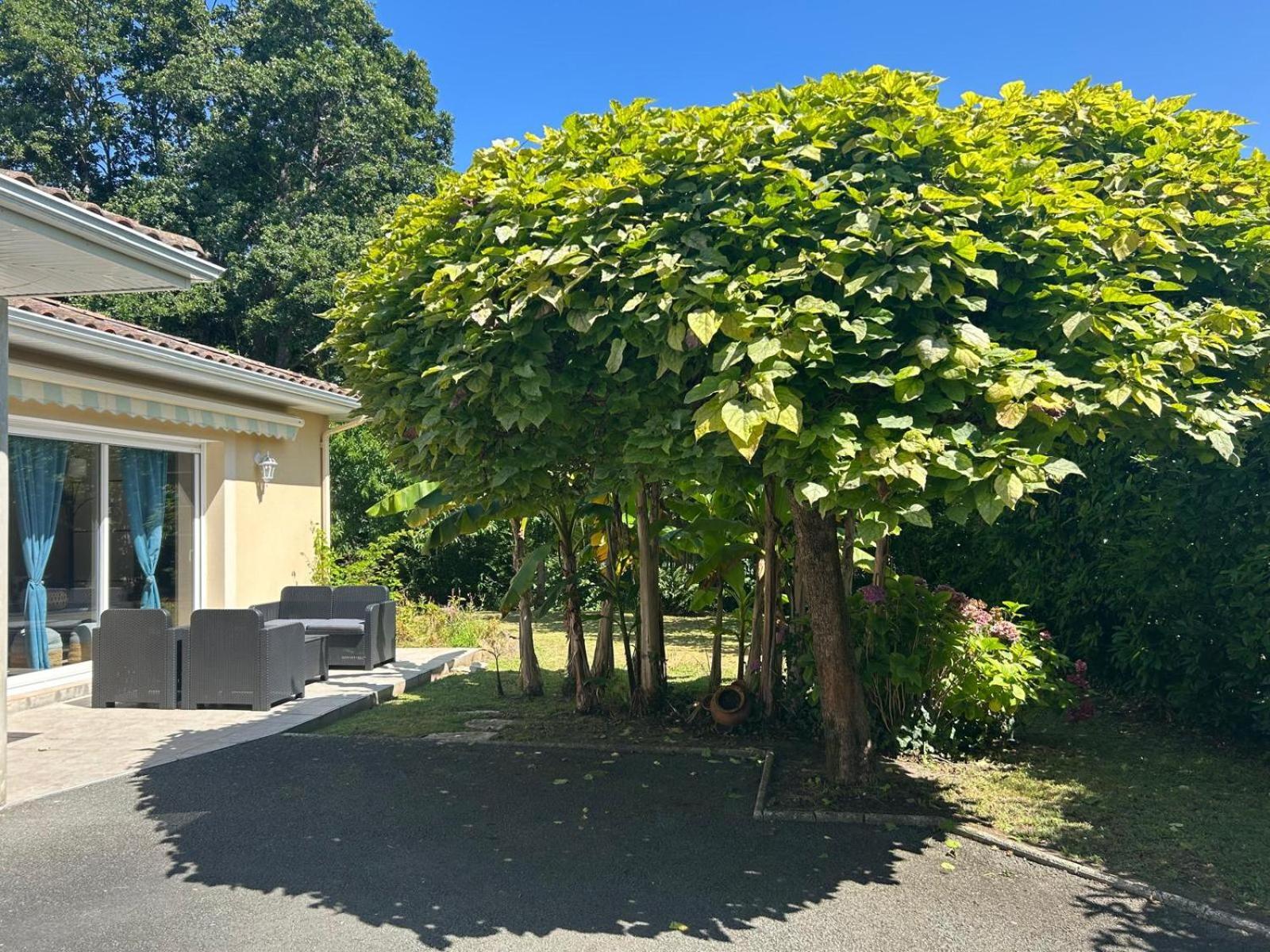 Jolie Maison Le Teich Bassin Park/Wifi Bagian luar foto