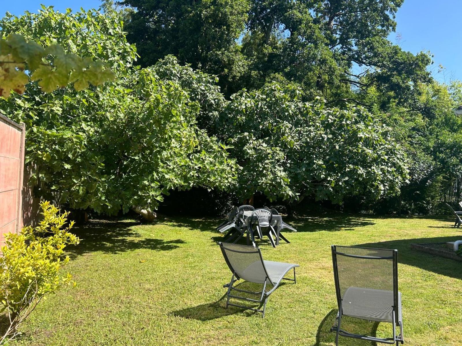 Jolie Maison Le Teich Bassin Park/Wifi Bagian luar foto