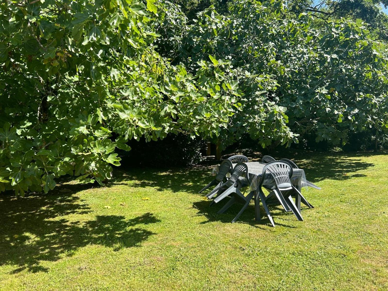 Jolie Maison Le Teich Bassin Park/Wifi Bagian luar foto